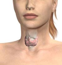Síntomas de hipotiroidismo en mujeres